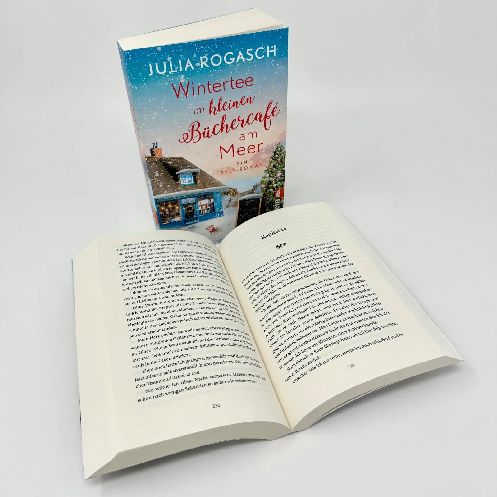 Bild: 9783548069418 | Wintertee im kleinen Büchercafé am Meer | Julia Rogasch | Taschenbuch