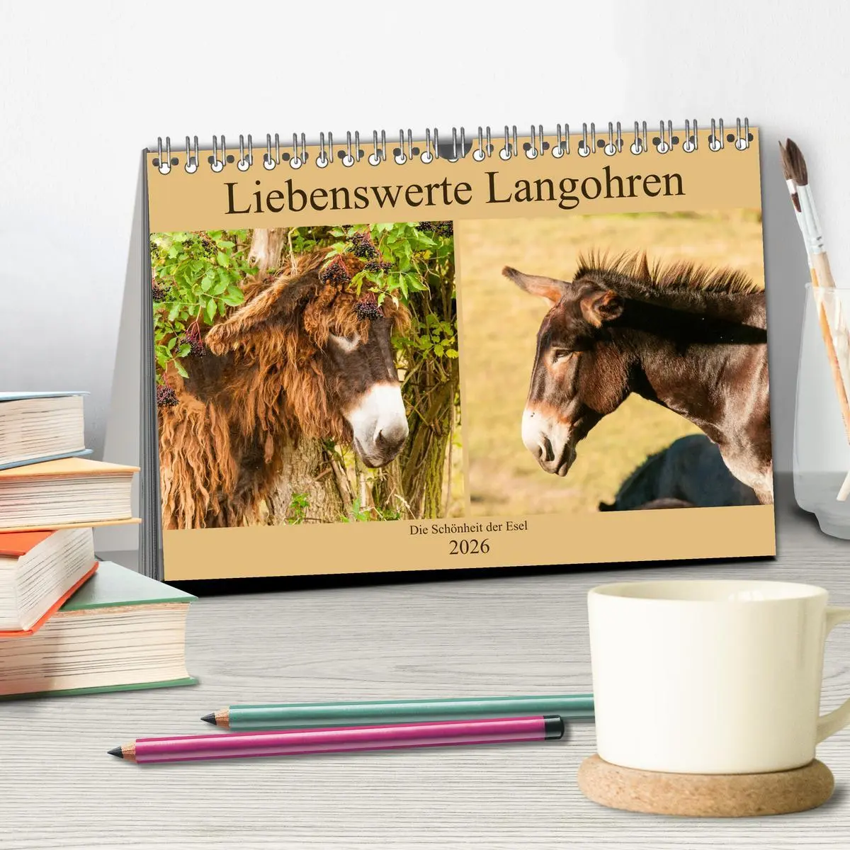 Bild: 9783457809518 | Liebenswerte Langohren - Die Schönheit der Esel (Tischkalender 2026...
