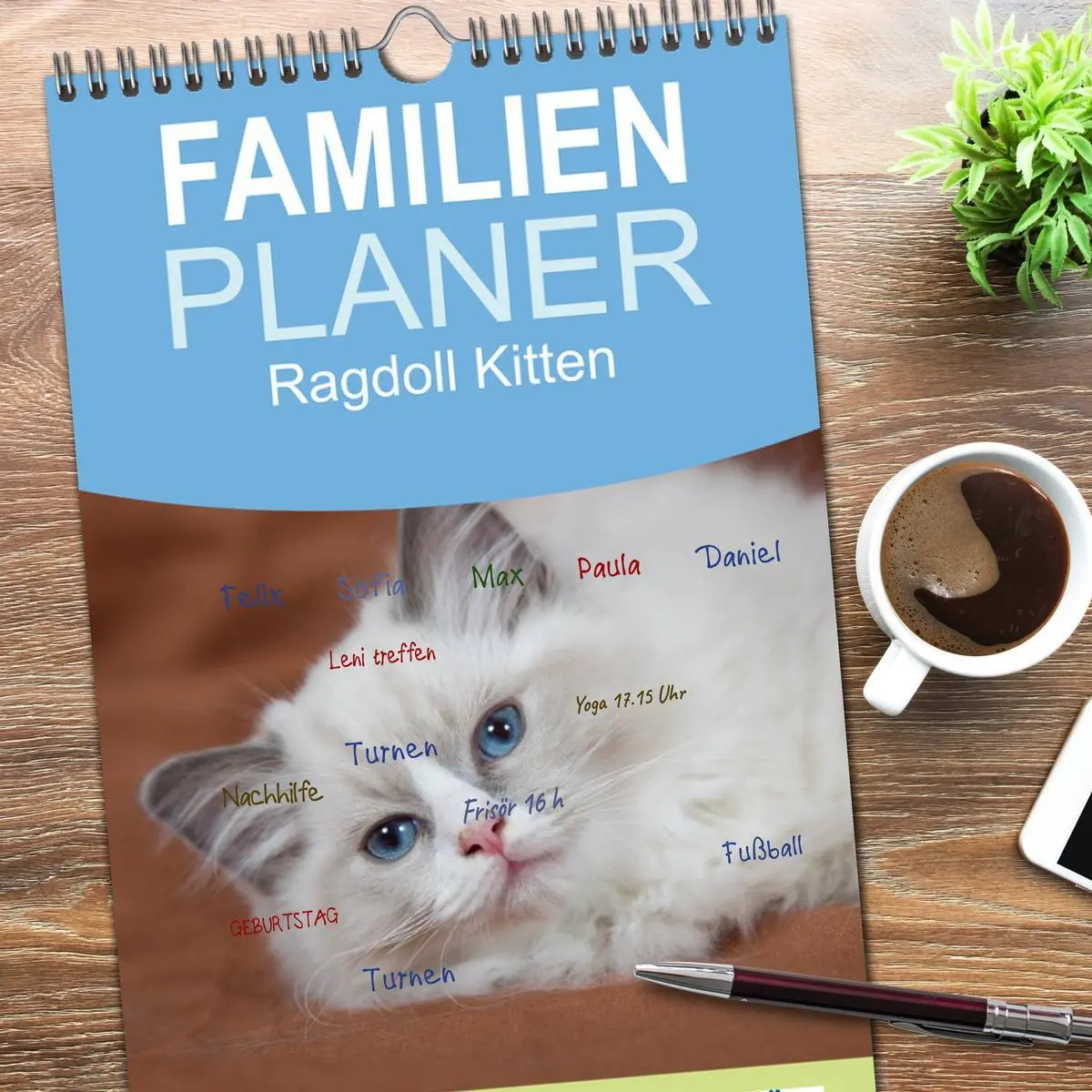 Bild: 9783516519518 | Familienplaner 2026 - Ragdoll Kitten mit 5 Spalten (Wandkalender,...