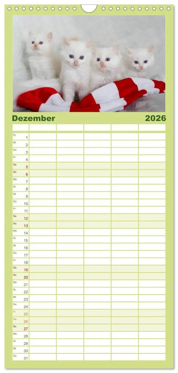 Bild: 9783516519518 | Familienplaner 2026 - Ragdoll Kitten mit 5 Spalten (Wandkalender,...
