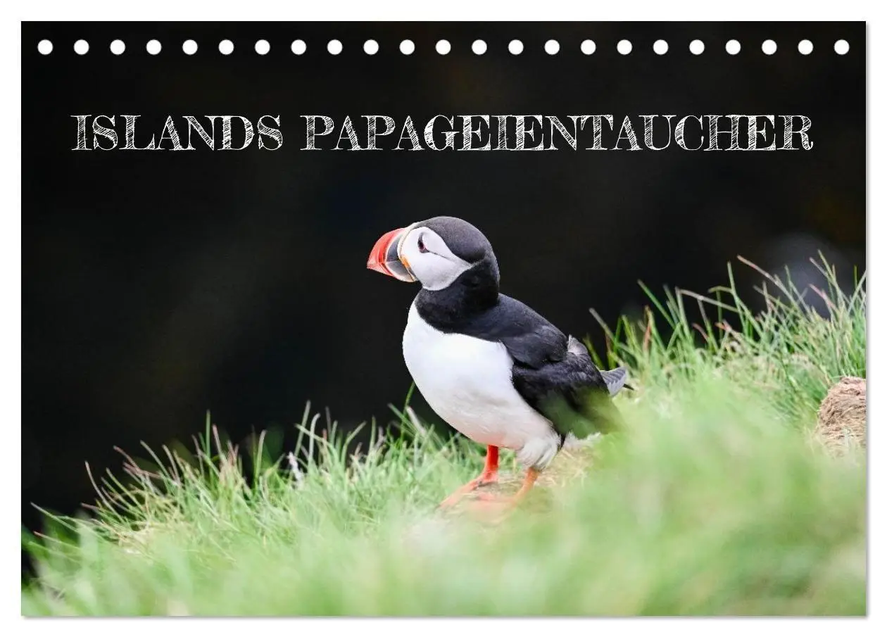 Cover: 9783516689518 | Islands Papageientaucher (Tischkalender 2026 DIN A5 quer), CALVENDO...