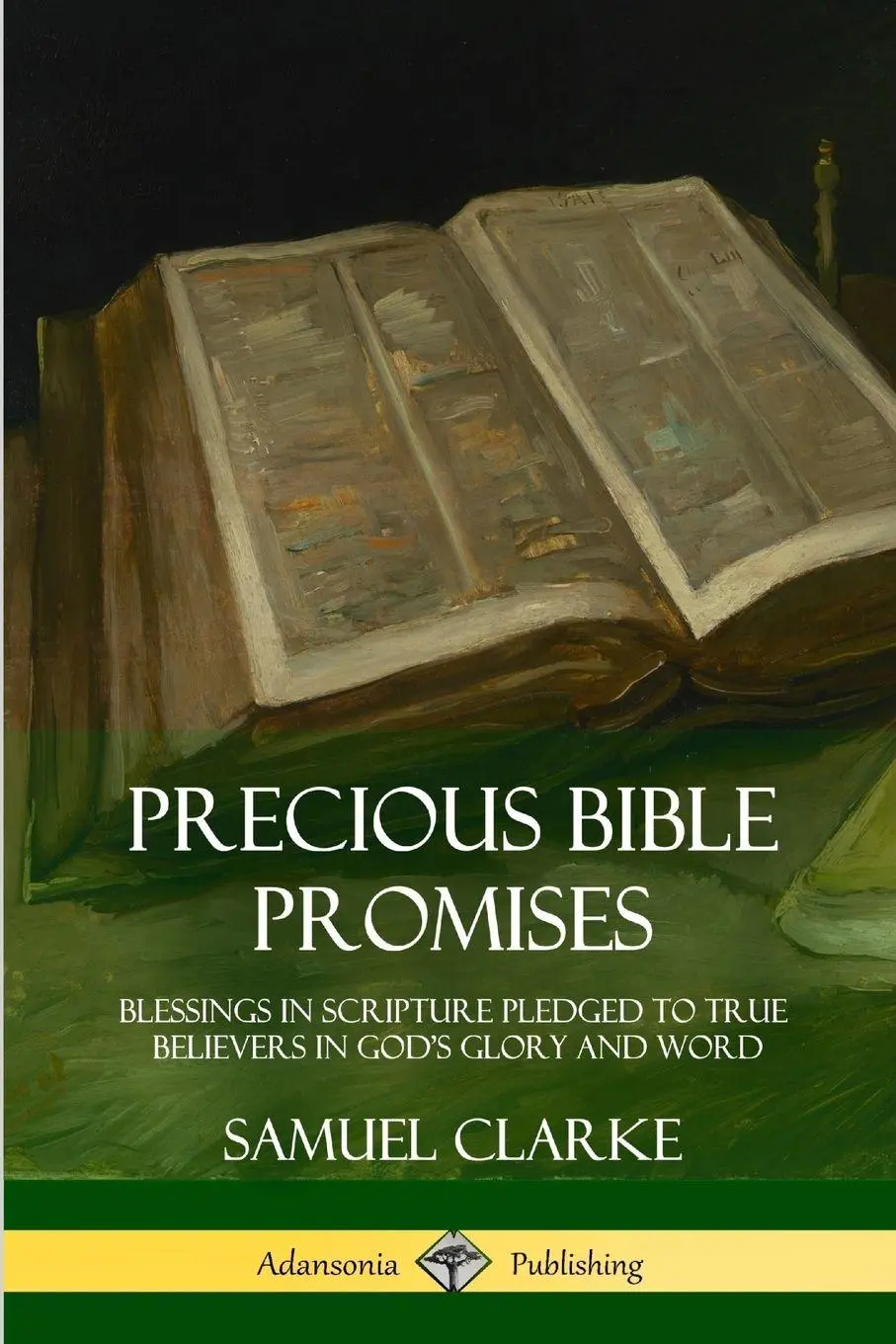 Cover: 9781387949618 | Precious Bible Promises | Samuel Clarke | Taschenbuch | Englisch