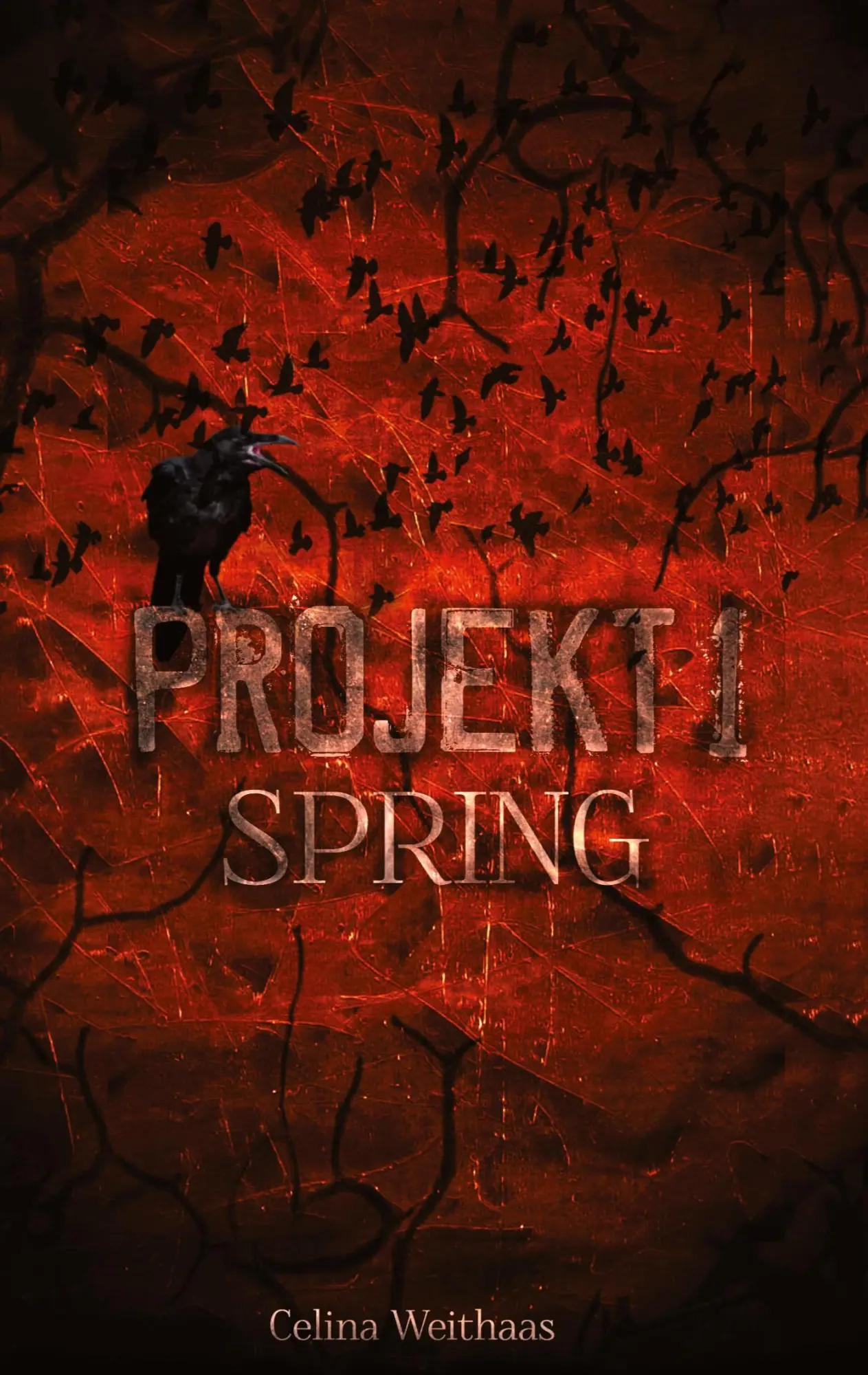 Cover: 9783347389618 | Spring - Projekt I | Celina Weithaas | Taschenbuch | 500 S. | Deutsch