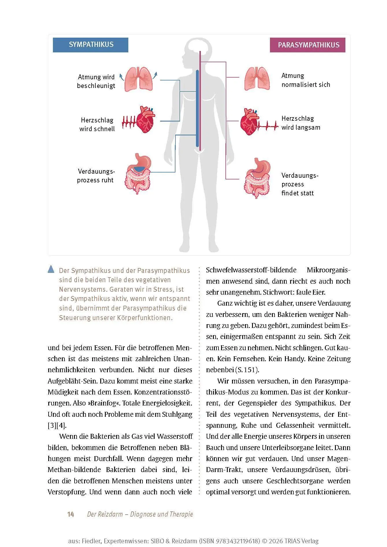 Bild: 9783432119618 | Expertenwissen: SIBO &amp; Reizdarm | Thomas Fiedler | Taschenbuch | 2025
