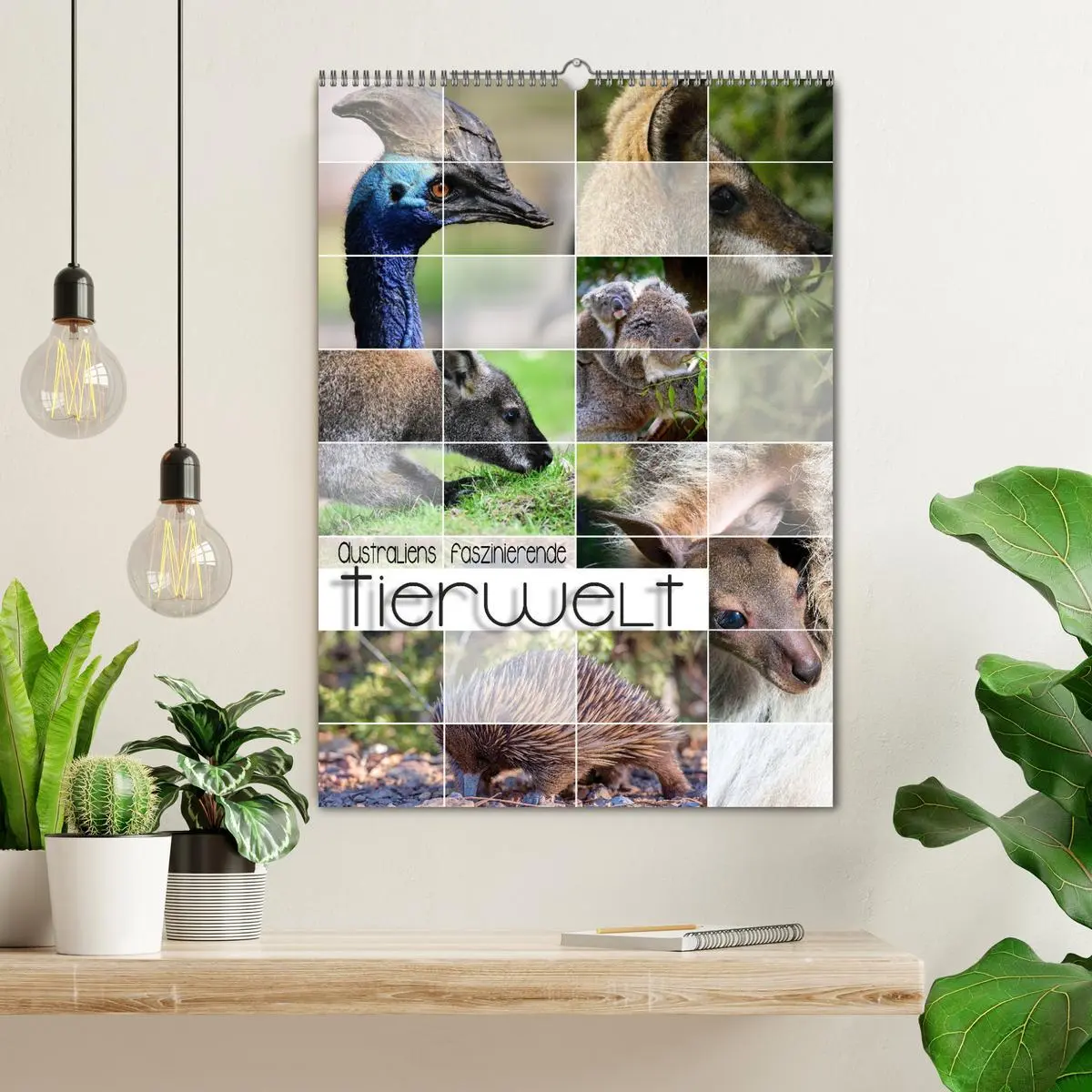 Bild: 9783516369618 | Australiens faszinierende Tierwelt (Wandkalender 2026 DIN A2 hoch),...