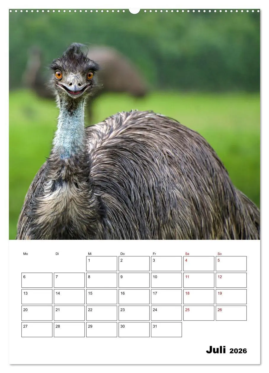 Bild: 9783516369618 | Australiens faszinierende Tierwelt (Wandkalender 2026 DIN A2 hoch),...