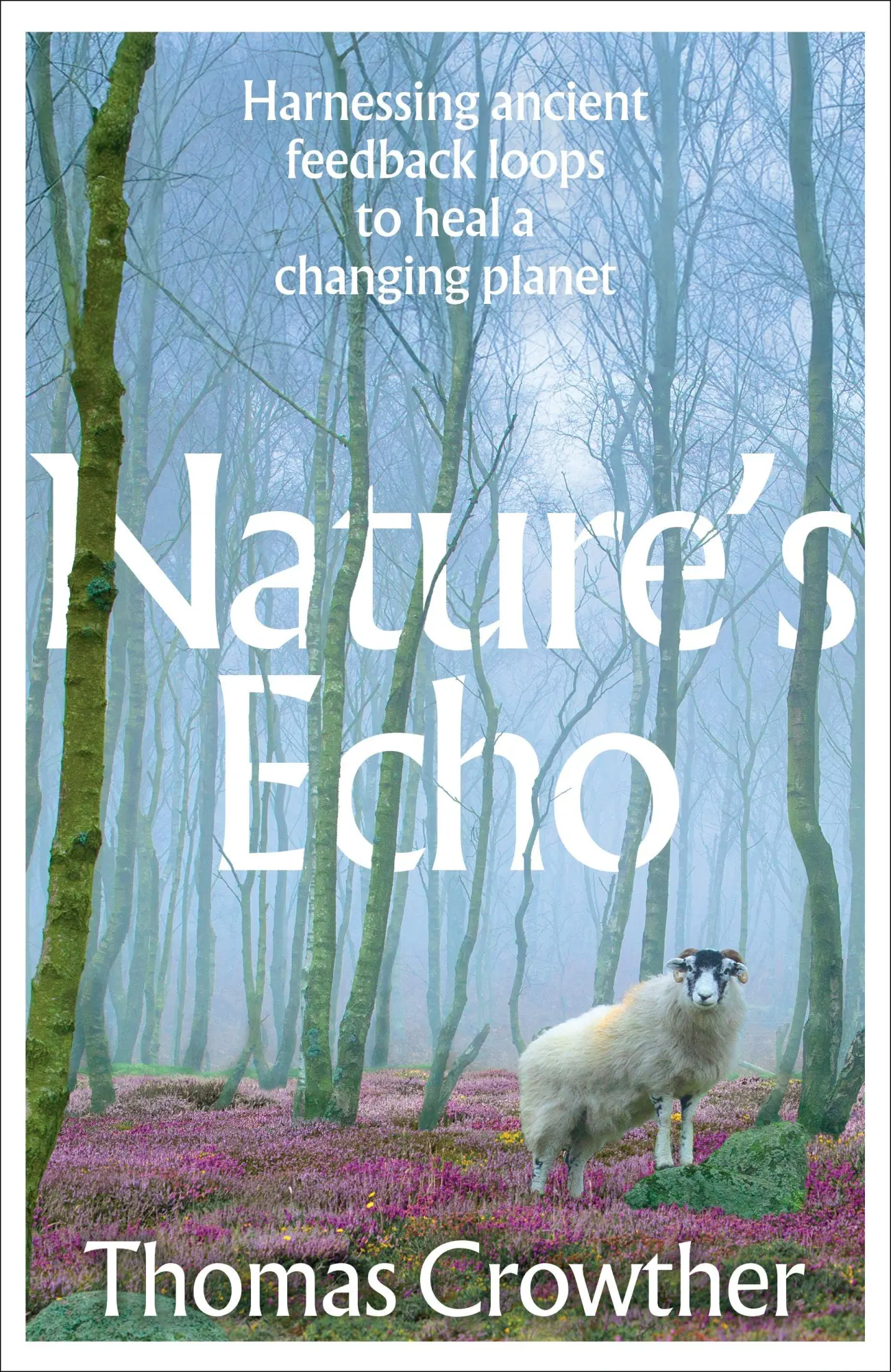 Cover: 9781911709718 | Nature's Echo | Thomas Crowther | Taschenbuch | 274 S. | Englisch