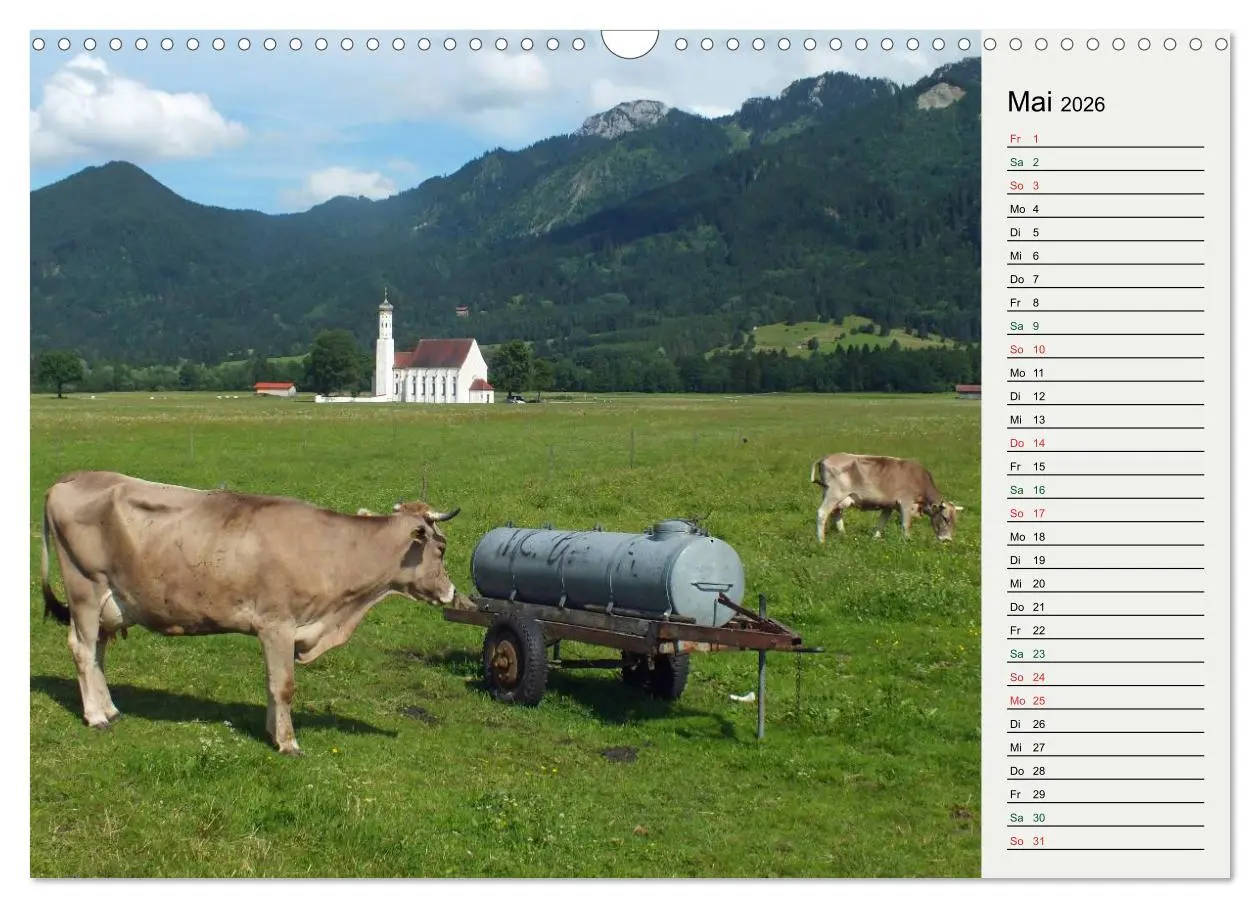 Bild: 9783516119718 | Schwangauer Momente (Wandkalender 2026 DIN A3 quer), CALVENDO...