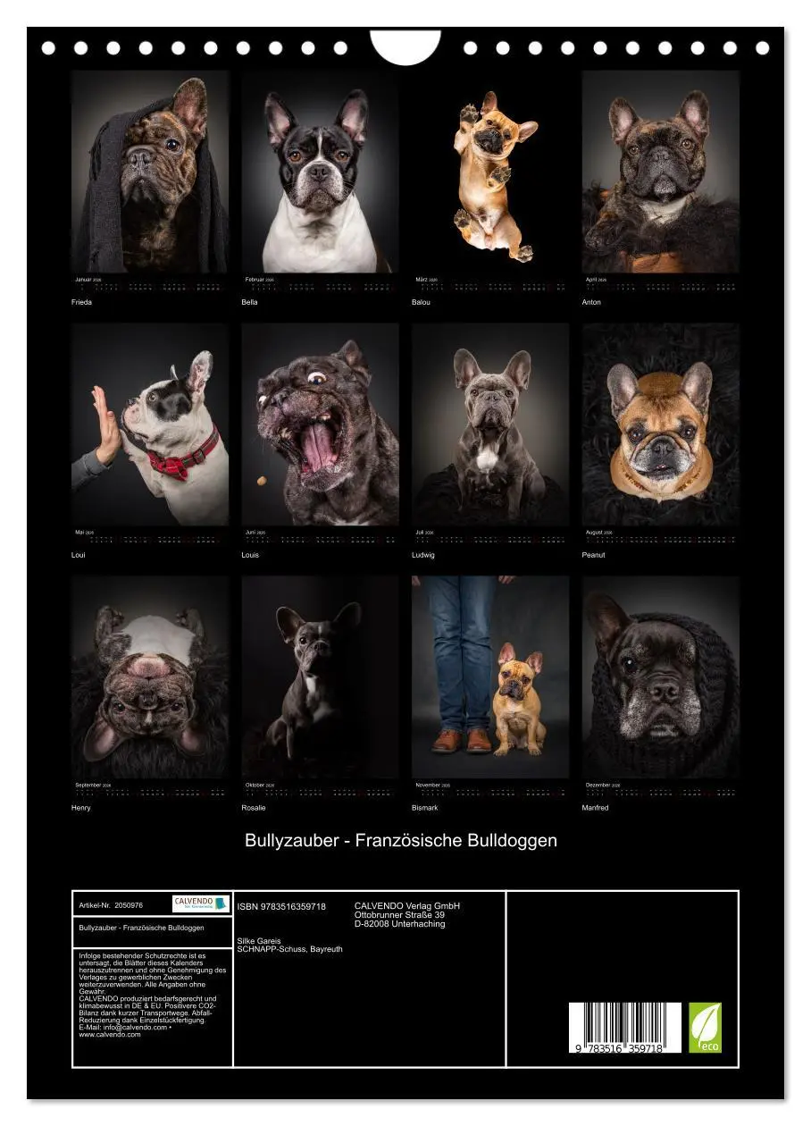 Bild: 9783516359718 | Bullyzauber - Französische Bulldoggen (Wandkalender 2026 DIN A4...