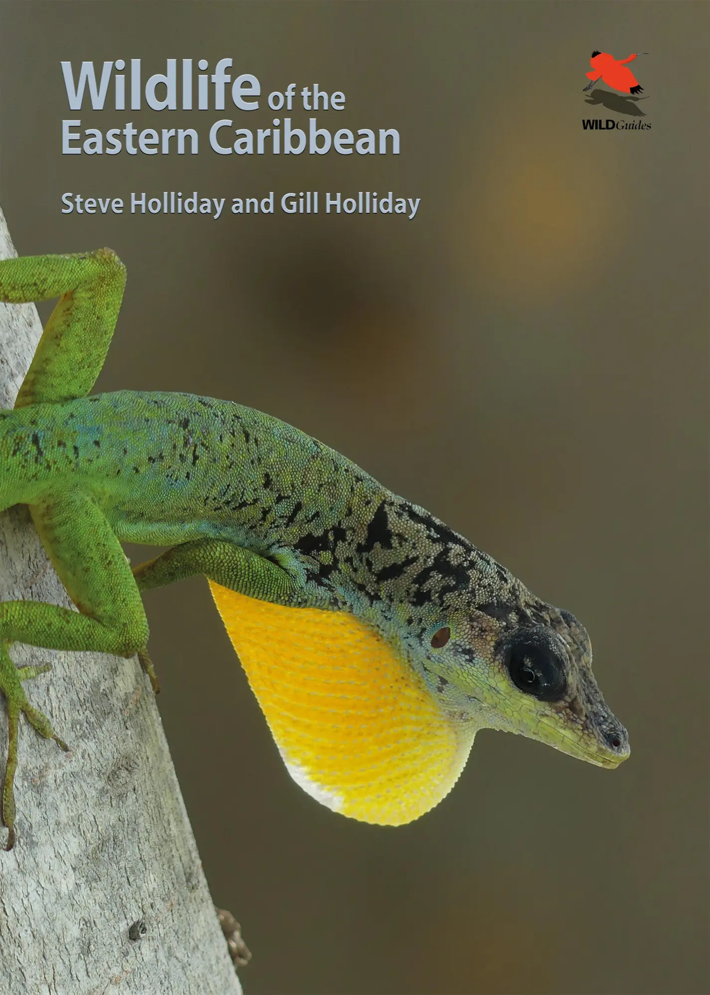Cover: 9780691199818 | Wildlife of the Eastern Caribbean | Gill Holliday (u. a.) | Buch