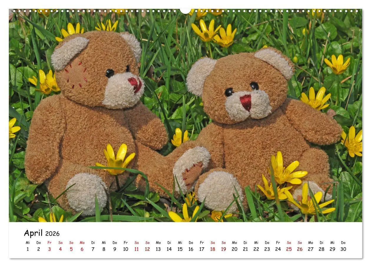 Bild: 9783457430019 | Allerliebste Teddybären (hochwertiger Premium Wandkalender 2026 DIN...