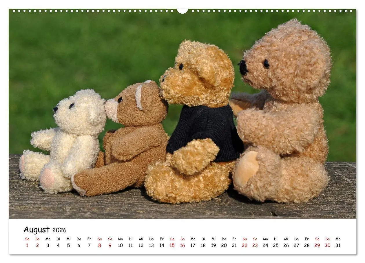 Bild: 9783457430019 | Allerliebste Teddybären (hochwertiger Premium Wandkalender 2026 DIN...