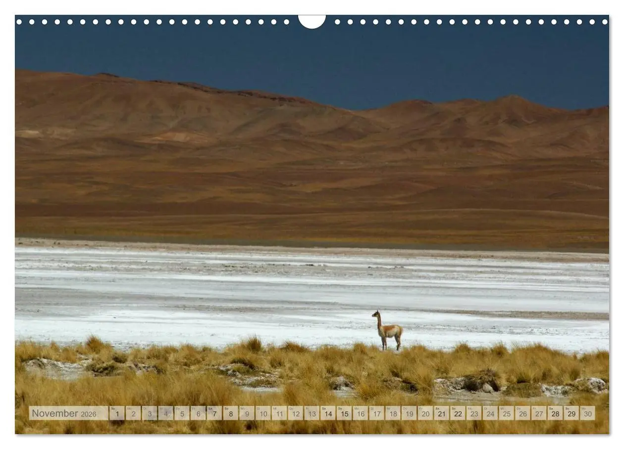 Bild: 9783516210019 | Argentinien Christian Heeb (Wandkalender 2026 DIN A3 quer),...