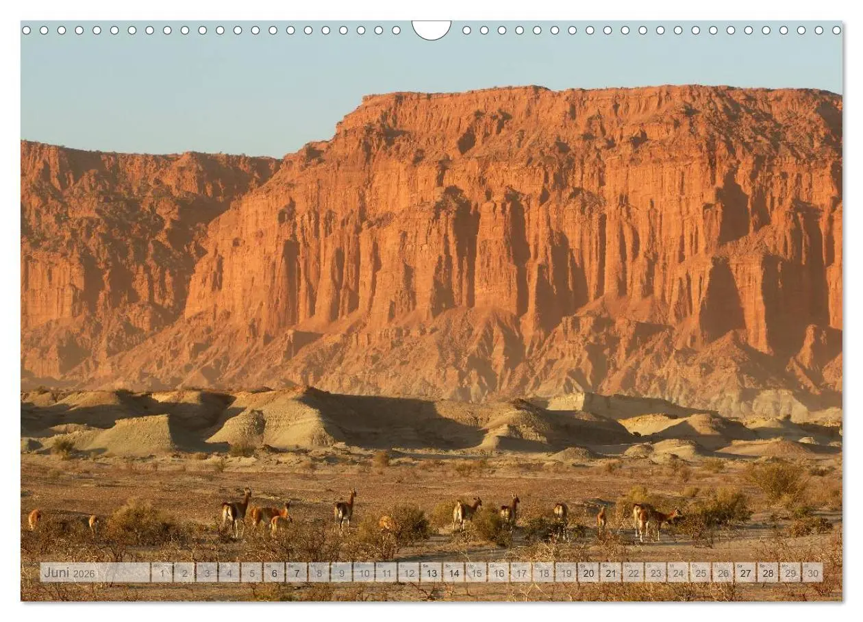 Bild: 9783516210019 | Argentinien Christian Heeb (Wandkalender 2026 DIN A3 quer),...