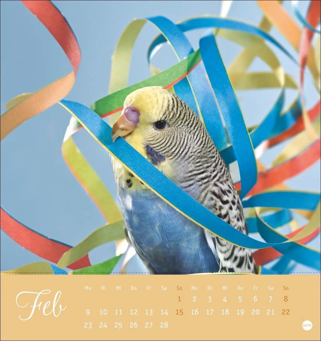 Bild: 9783756410019 | Freche Wellensittiche Postkartenkalender 2026 | Monika Wegler | 13 S.