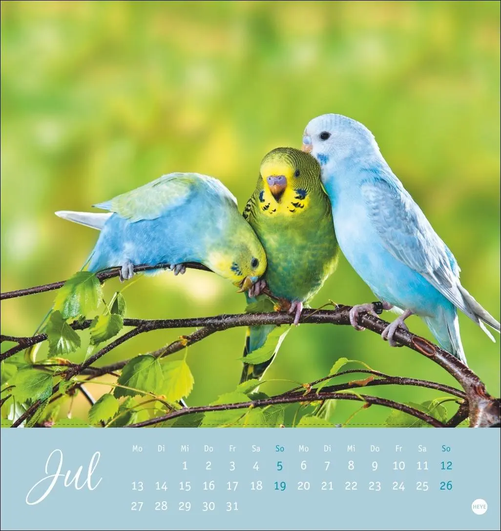 Bild: 9783756410019 | Freche Wellensittiche Postkartenkalender 2026 | Monika Wegler | 13 S.