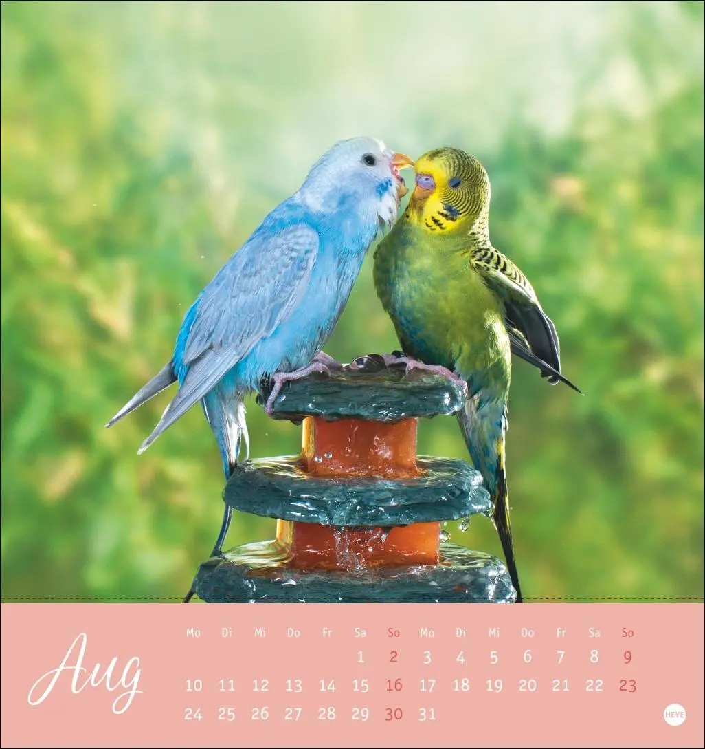 Bild: 9783756410019 | Freche Wellensittiche Postkartenkalender 2026 | Monika Wegler | 13 S.