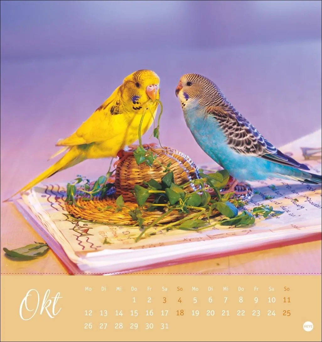 Bild: 9783756410019 | Freche Wellensittiche Postkartenkalender 2026 | Monika Wegler | 13 S.