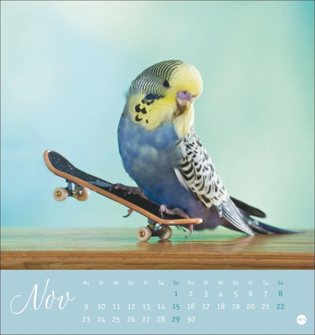 Bild: 9783756410019 | Freche Wellensittiche Postkartenkalender 2026 | Monika Wegler | 13 S.