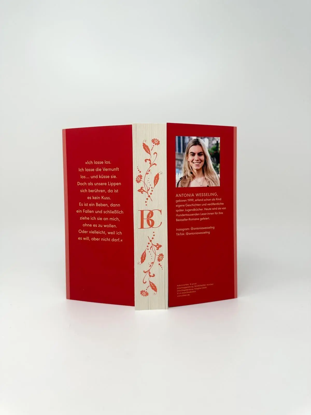 Bild: 9783989780019 | Les Bouttiers - Wir sind jetzt | Antonia Wesseling | Taschenbuch