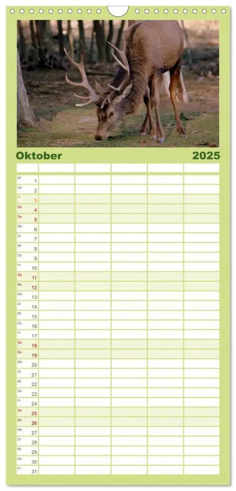 Bild: 9783457110119 | Familienplaner 2025 - Hirsche - Könige des Waldes mit 5 Spalten...