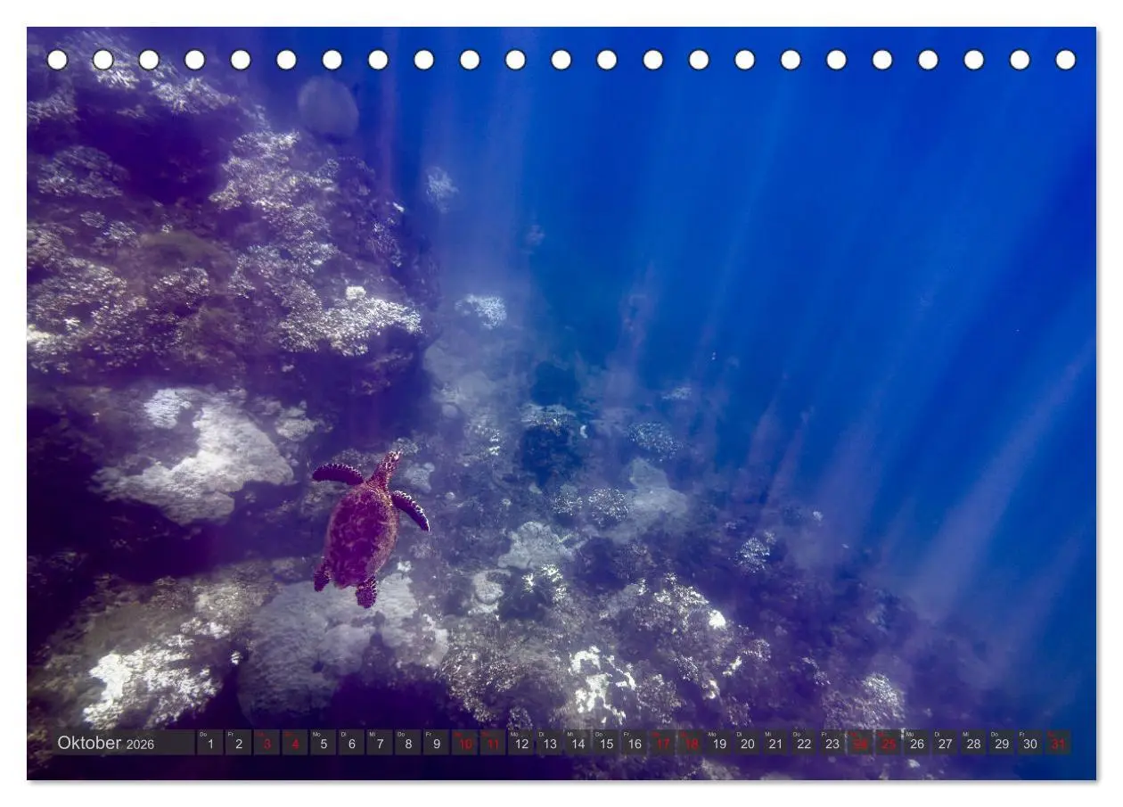 Bild: 9783457280119 | Tropenparadies zwischen Ozeanen Costa Rica (Tischkalender 2026 DIN...