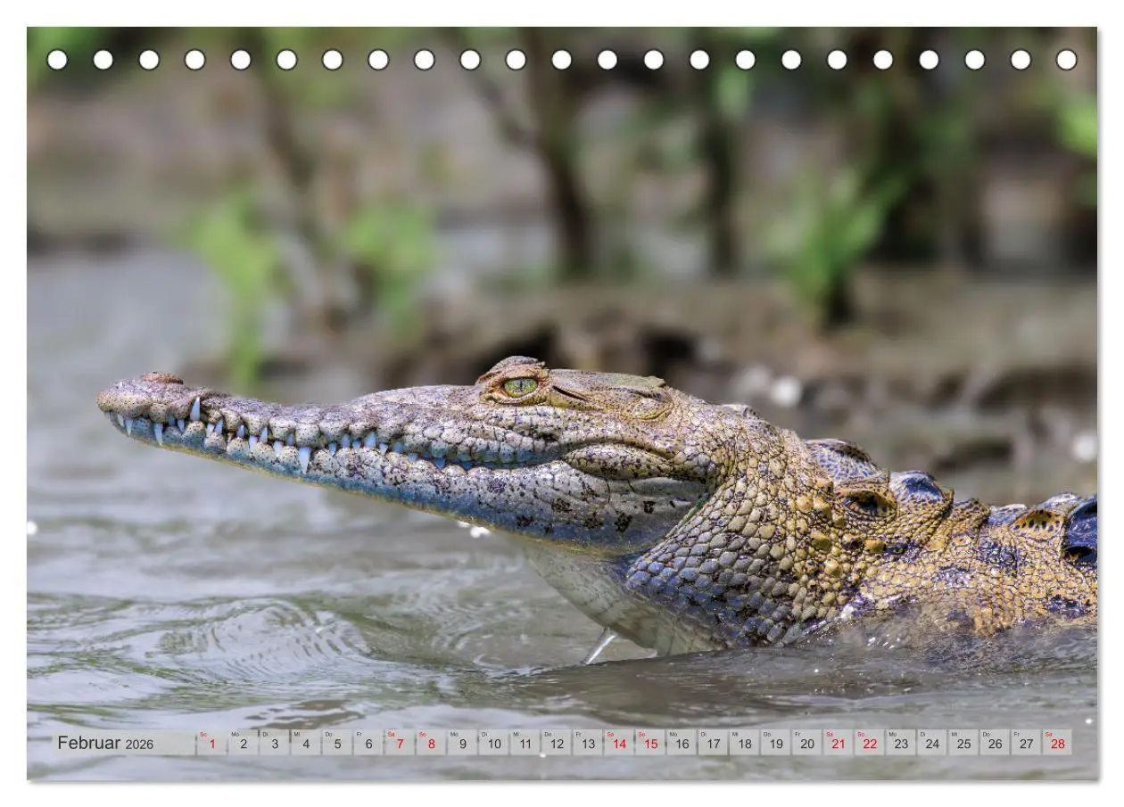 Bild: 9783457280119 | Tropenparadies zwischen Ozeanen Costa Rica (Tischkalender 2026 DIN...