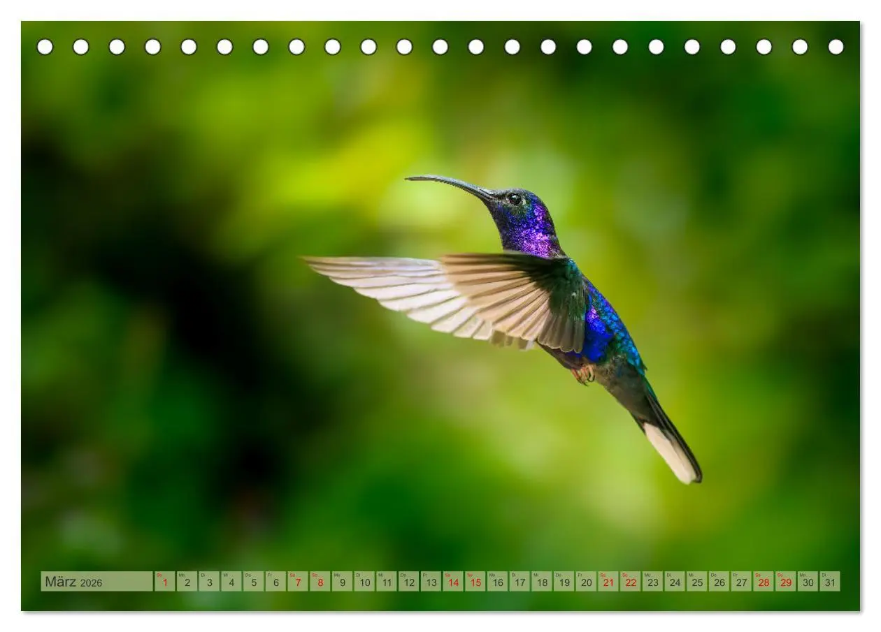 Bild: 9783457280119 | Tropenparadies zwischen Ozeanen Costa Rica (Tischkalender 2026 DIN...