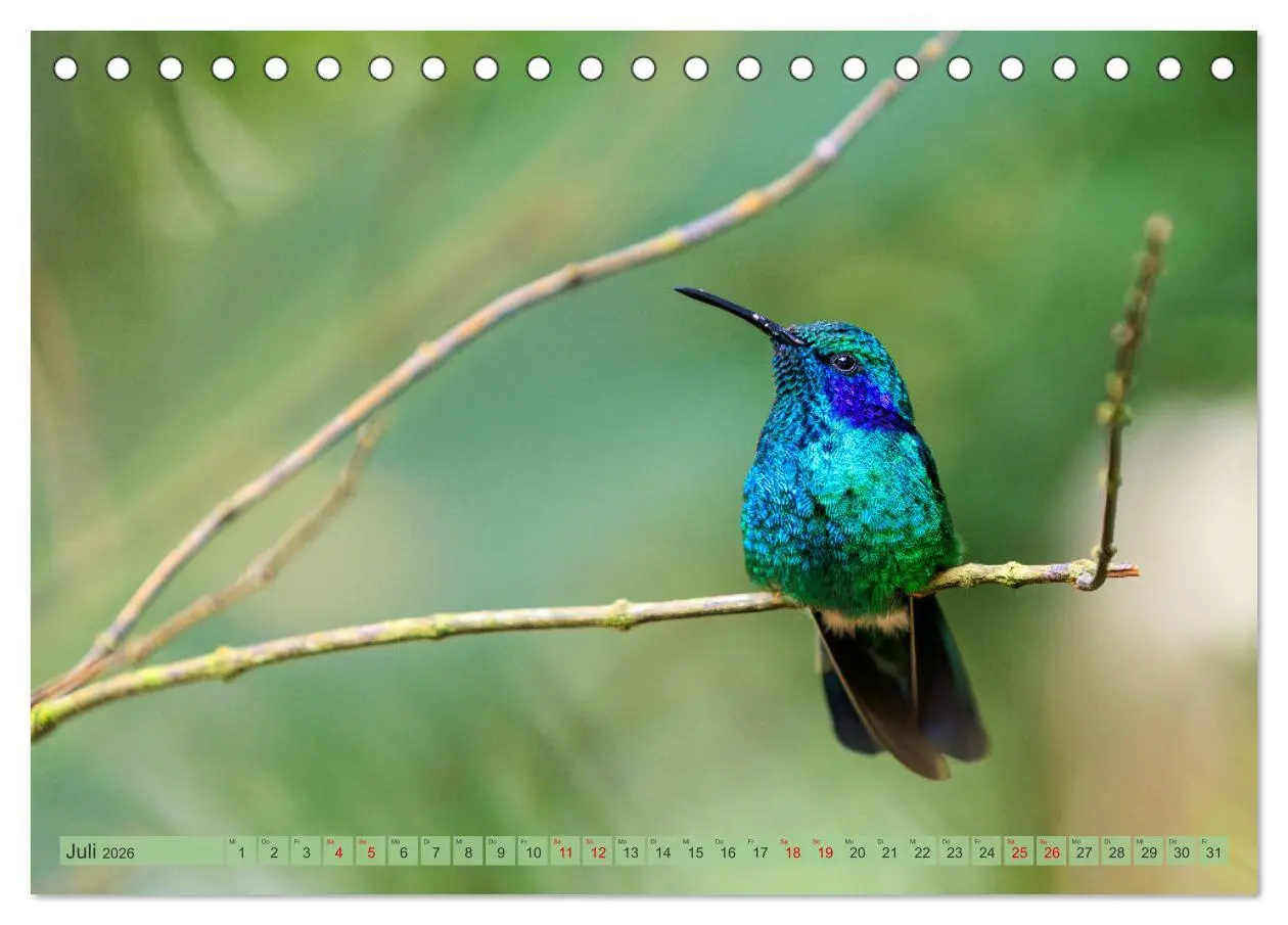 Bild: 9783457280119 | Tropenparadies zwischen Ozeanen Costa Rica (Tischkalender 2026 DIN...
