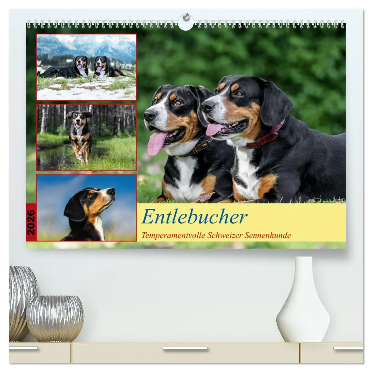 Cover: 9783457350119 | Entlebucher - Temperamentvolle Schweizer Sennenhunde (hochwertiger...