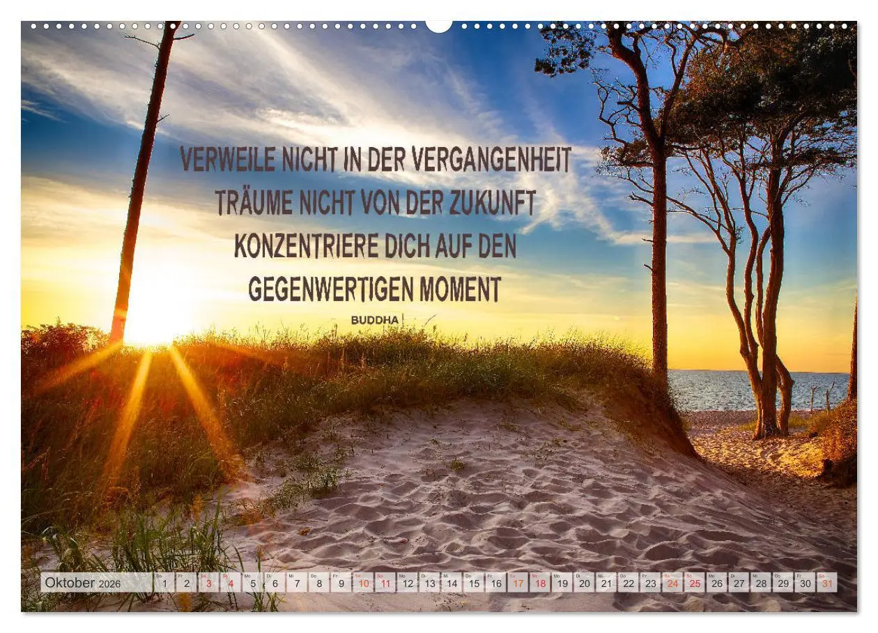 Bild: 9783457660119 | Motivation und Meer (hochwertiger Premium Wandkalender 2026 DIN A2...