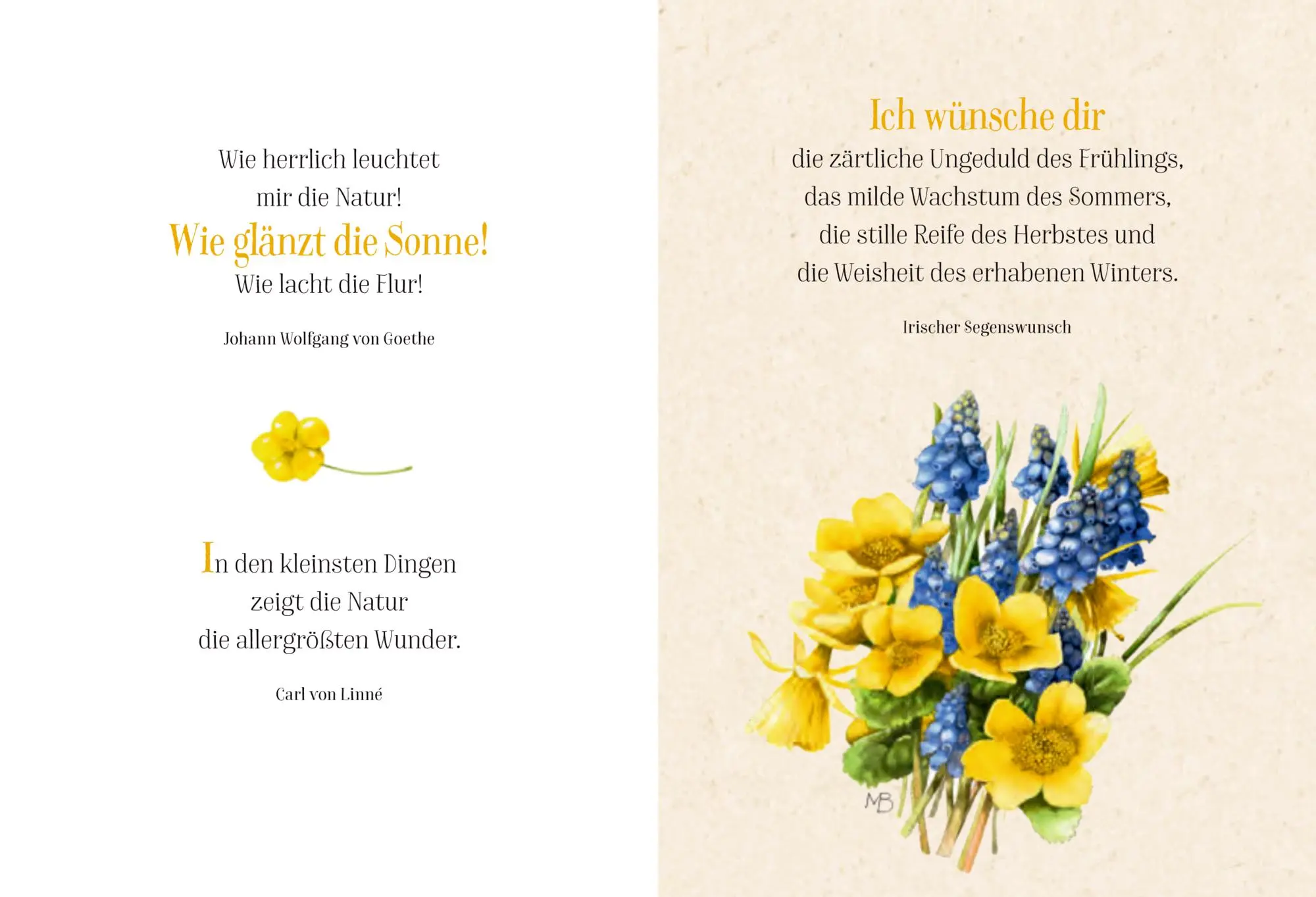 Bild: 9783649650119 | Die Sonne lacht für dich | Freu dich des Lebens | Marjolein Bastin