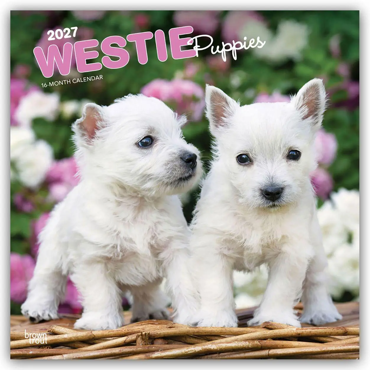 Cover: 9798330710119 | West Highland White Terrier Puppies - Westie Puppies - West...