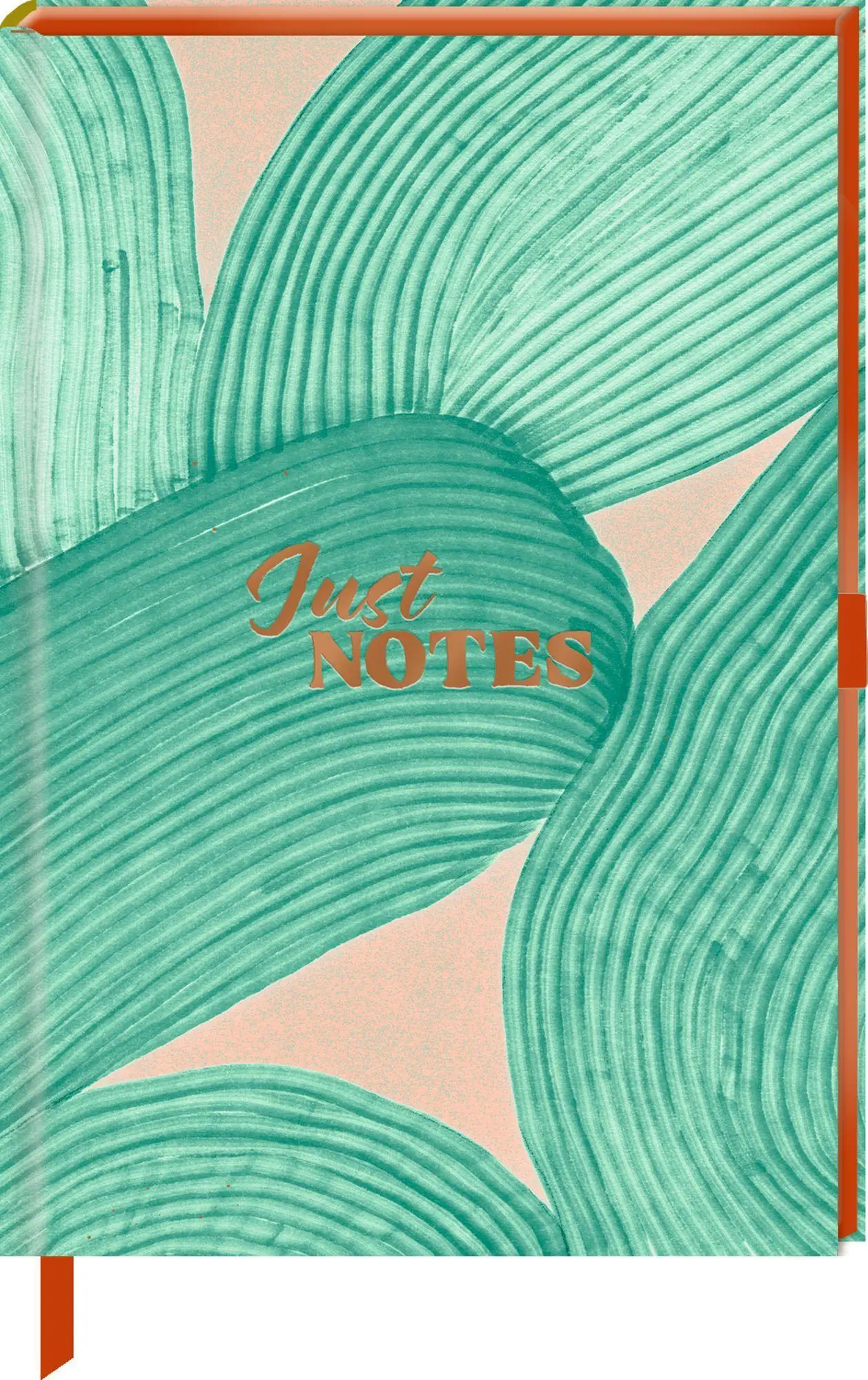 Notizbuch DIN A5 - Just Notes (BOWS)