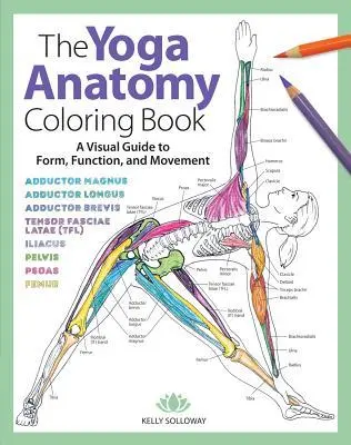 Cover: 9781640210219 | Yoga Anatomy Coloring Book | Kelly Solloway | Taschenbuch | Englisch