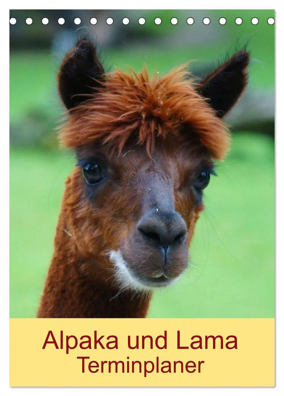 Cover: 9783516430219 | Alpaka und Lama Terminplaner (Tischkalender 2026 DIN A5 hoch),...