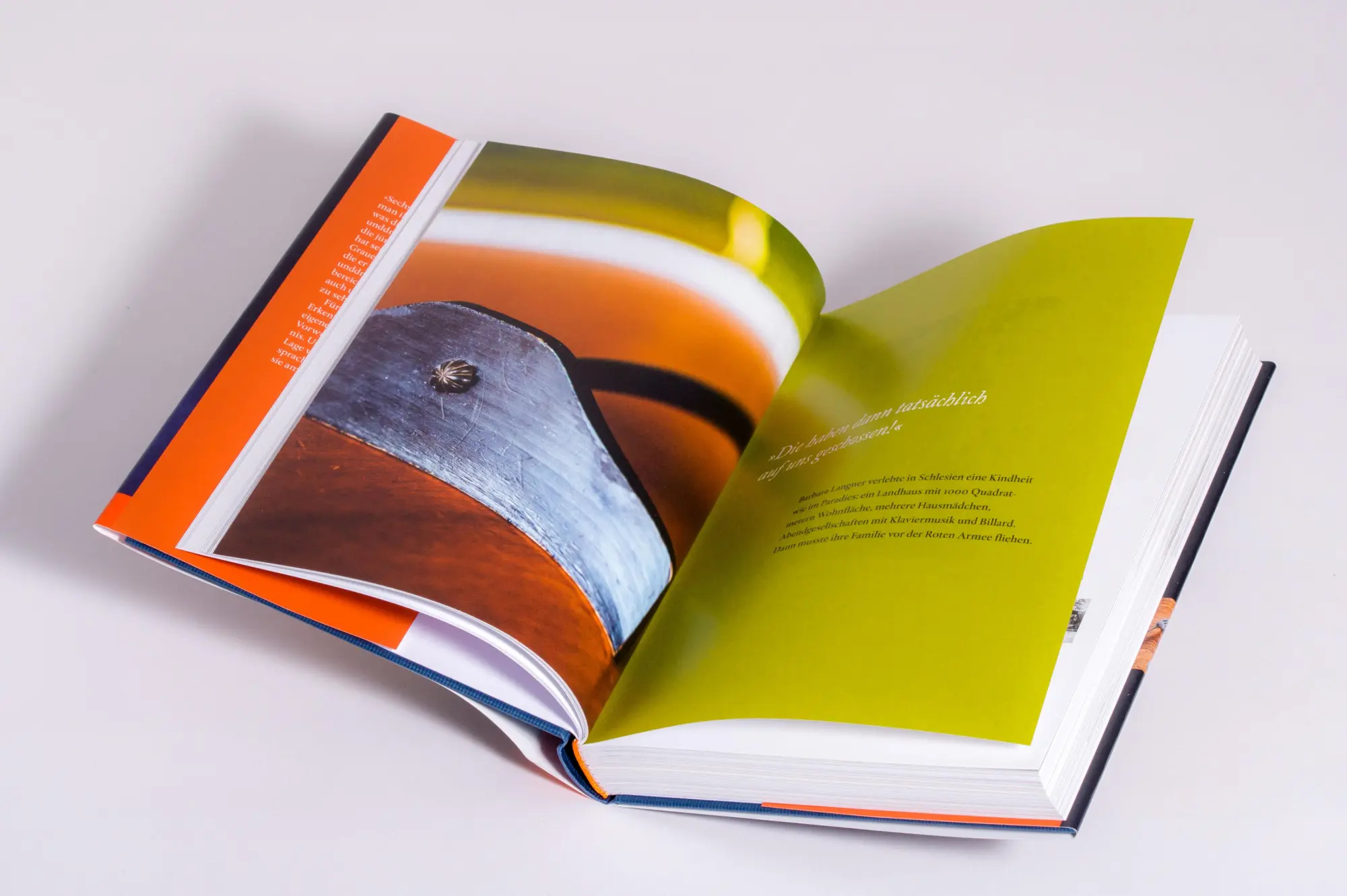 Bild: 9783421070319 | Warum hängt daran dein Herz? | Hauke Goos (u. a.) | Buch | 384 S.