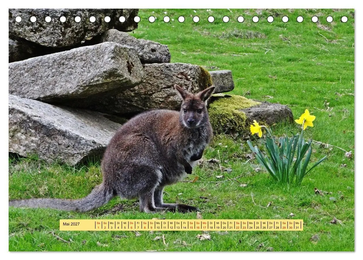 Bild: 9783594260319 | Fichtelgebirge - Naturgebiet zwischen Wäldern und Felsen...