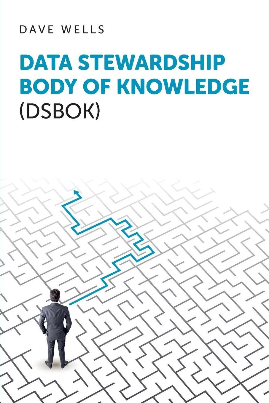 Cover: 9798898160319 | Data Stewardship Body of Knowledge (DSBOK) | Dave Wells | Taschenbuch