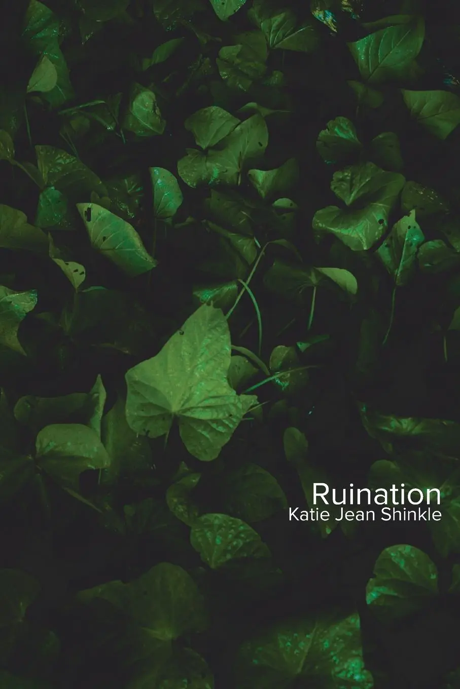 Cover: 9781947980419 | Ruination | Katie Jean Shinkle | Taschenbuch | Kartoniert / Broschiert
