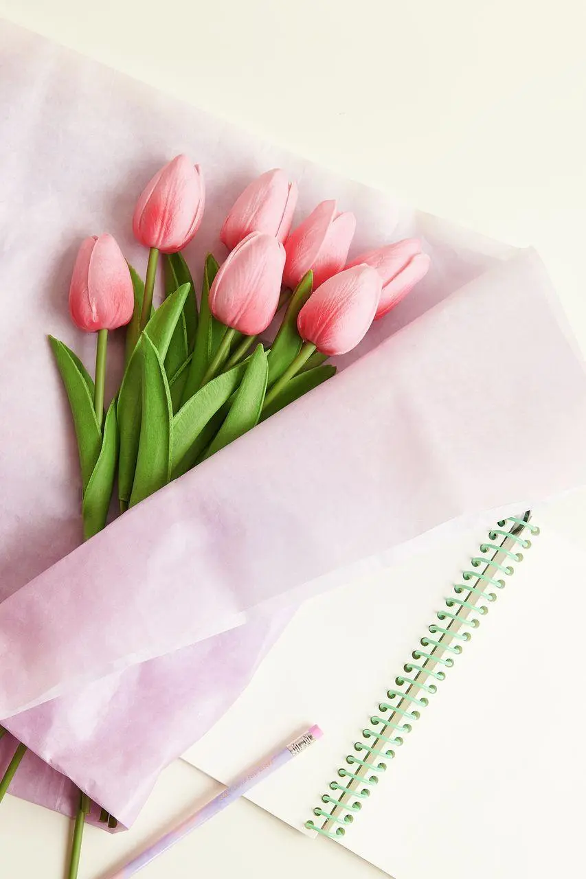 Tulpenstrauß Pink mit 7 Blüten 33,5cm