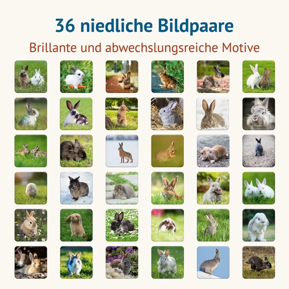 Bild: 4260472860519 | Doppel Hoppel Memospiel | Tanja Philippeit | Spiel | 86051 | Deutsch