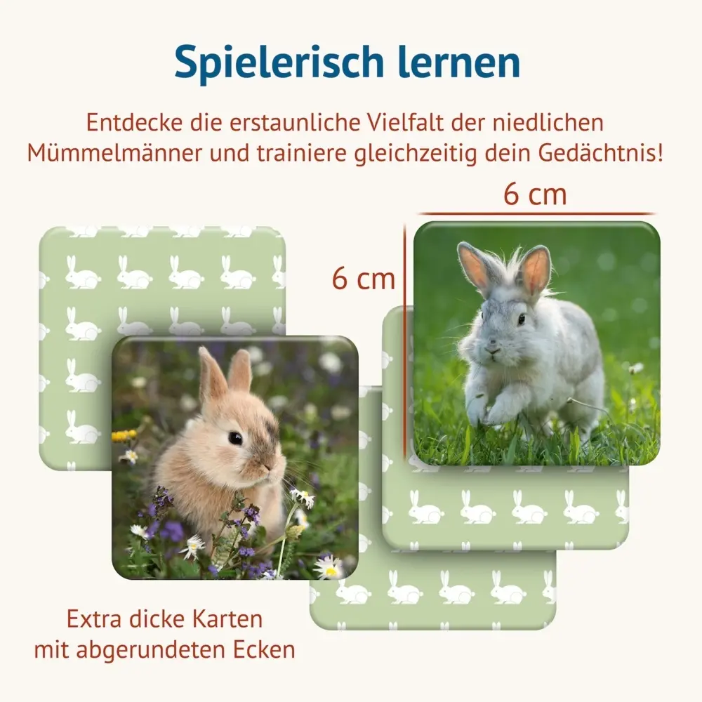 Bild: 4260472860519 | Doppel Hoppel Memospiel | Tanja Philippeit | Spiel | 86051 | Deutsch