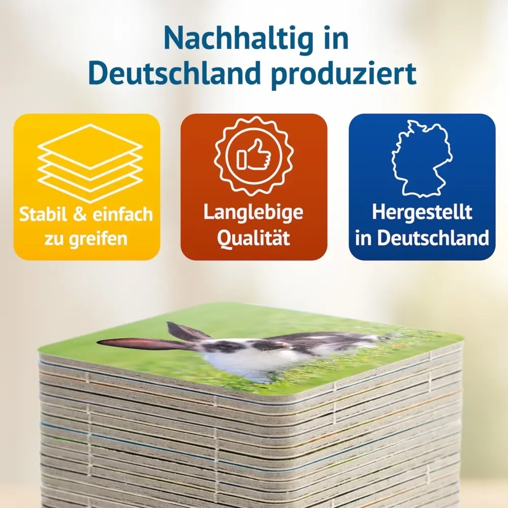 Bild: 4260472860519 | Doppel Hoppel Memospiel | Tanja Philippeit | Spiel | 86051 | Deutsch