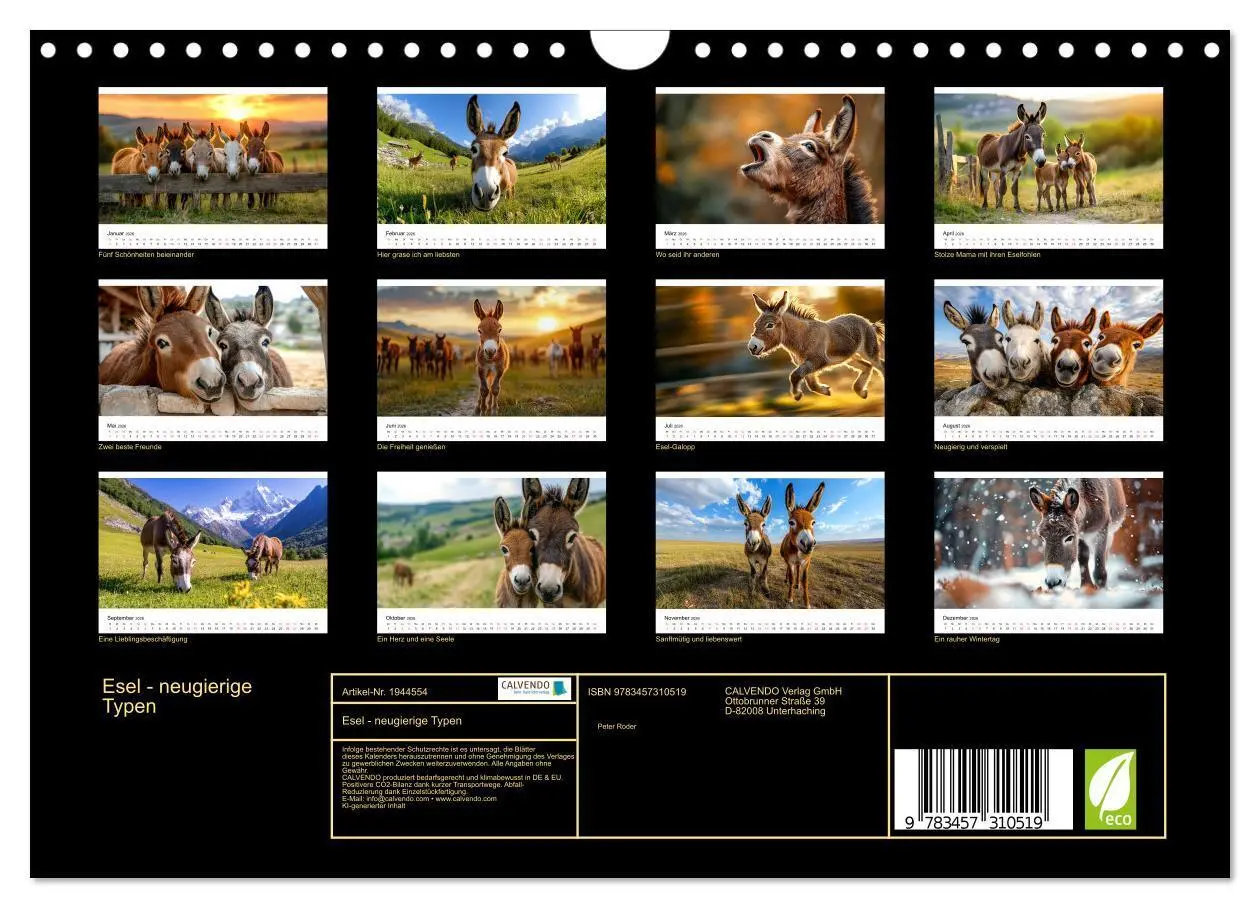 Bild: 9783457310519 | Esel - neugierige Typen (Wandkalender 2026 DIN A4 quer), CALVENDO...