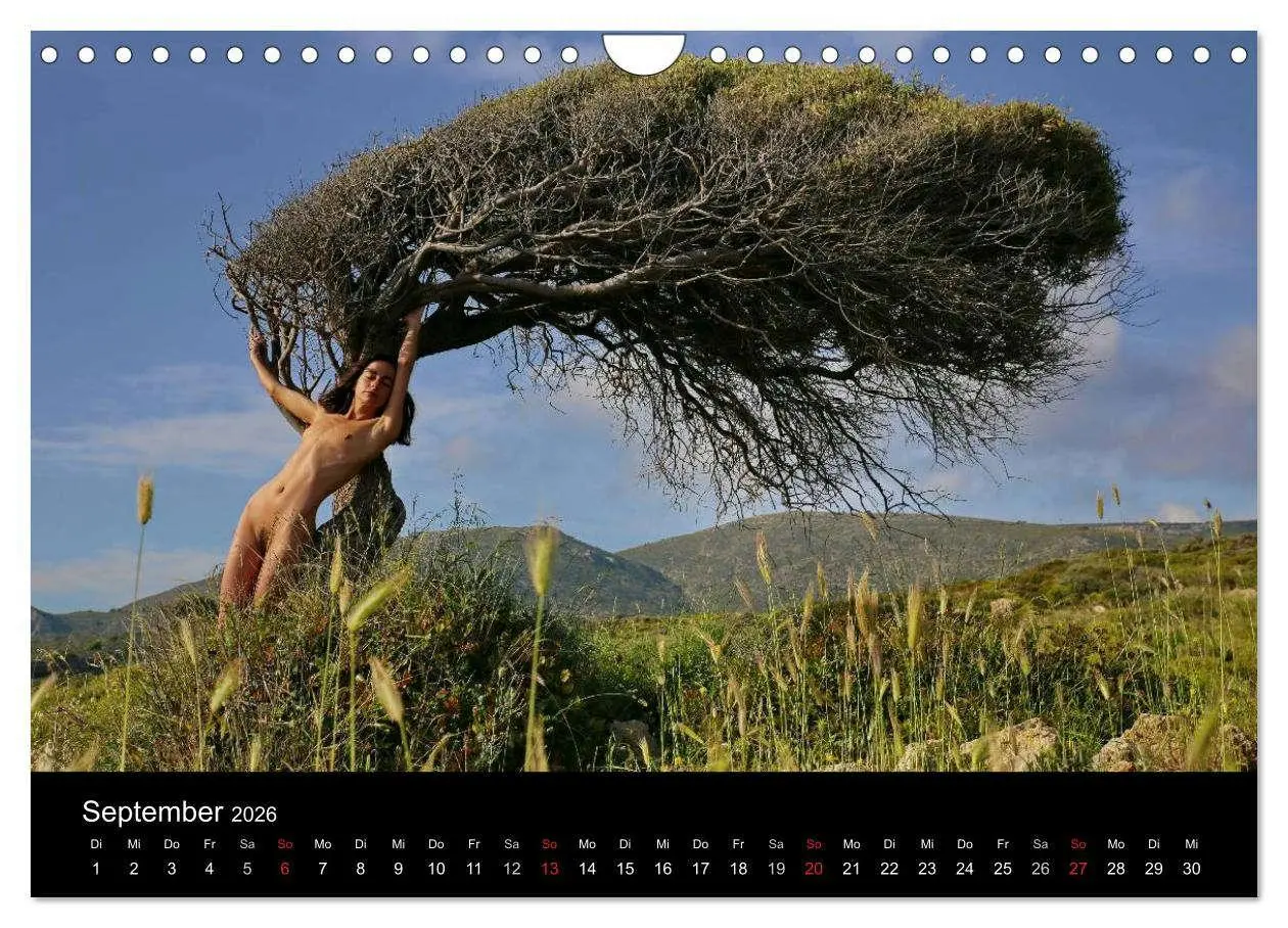 Bild: 9783516020519 | Gymnos - nackt in Griechenland 2026 (Wandkalender 2026 DIN A4...
