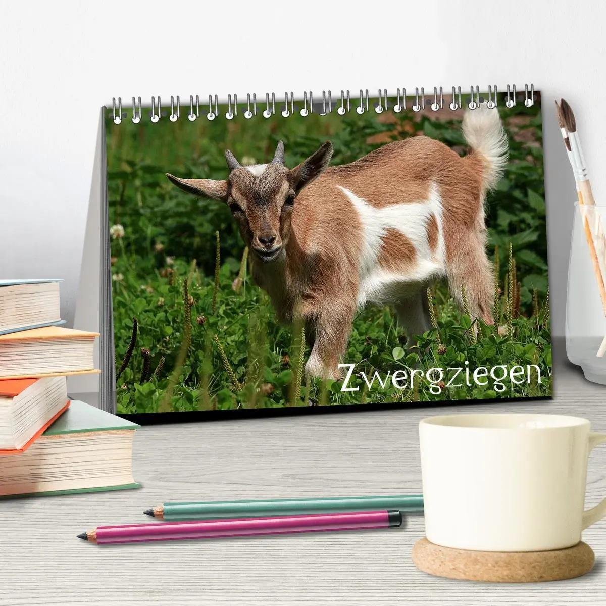 Bild: 9783516190519 | Zwergziegen (Tischkalender 2026 DIN A5 quer), CALVENDO Monatskalender