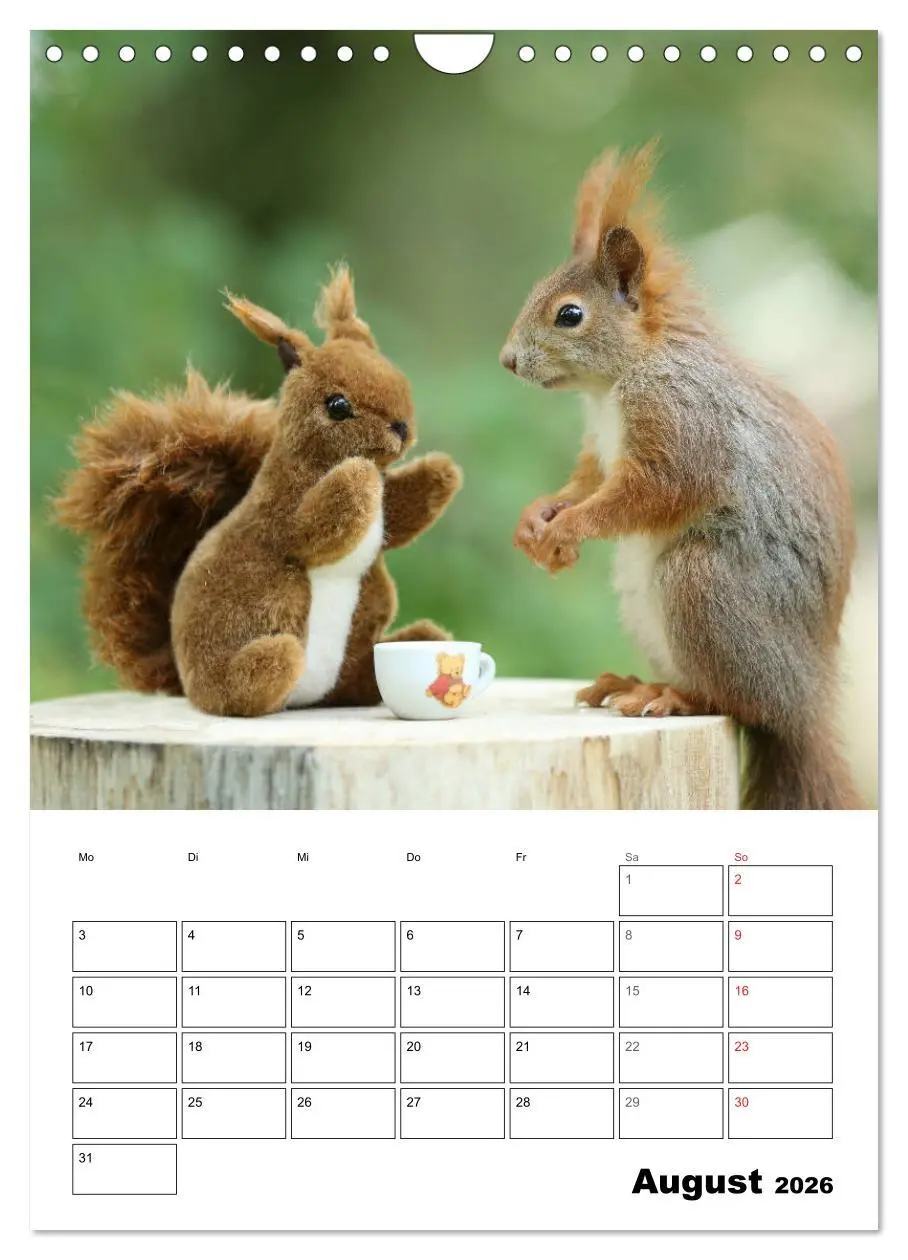 Bild: 9783516400519 | Die kleine Welt der Eichhörnchen in Regensburg (Wandkalender 2026...