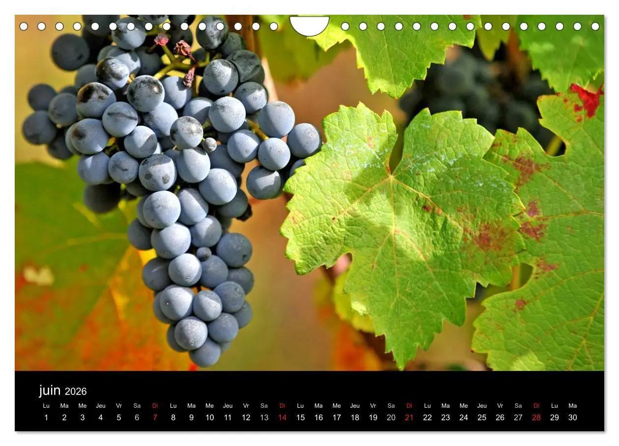 Bild: 9783516570519 | Couleurs Aveyron (Calendrier mural 2026 DIN A4 vertical), CALVENDO...