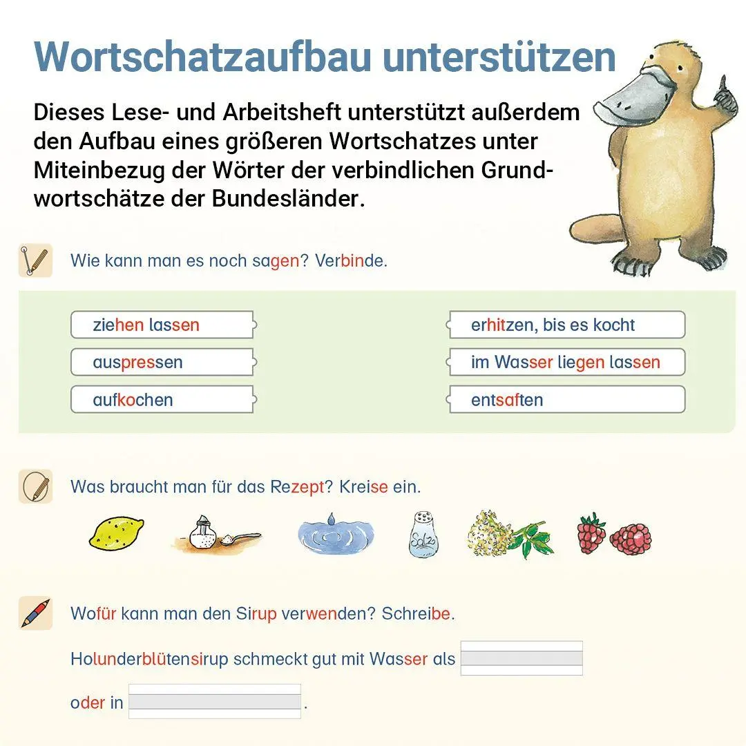 Bild: 9783619220519 | Lesen mit Rico Schnabel, Heft 8: Texte | Stefanie Drecktrah (u. a.)